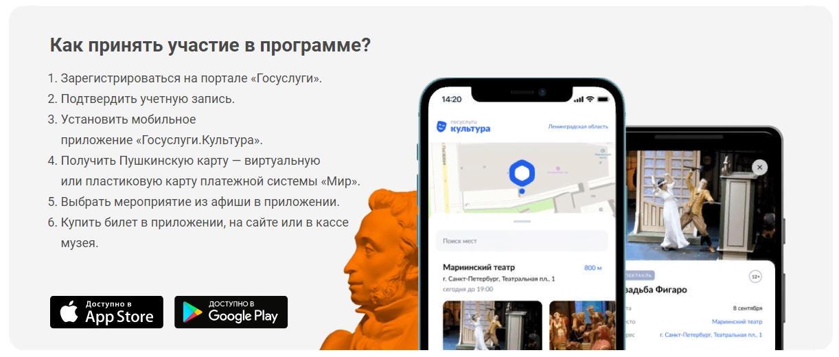 пушкинская карта 1