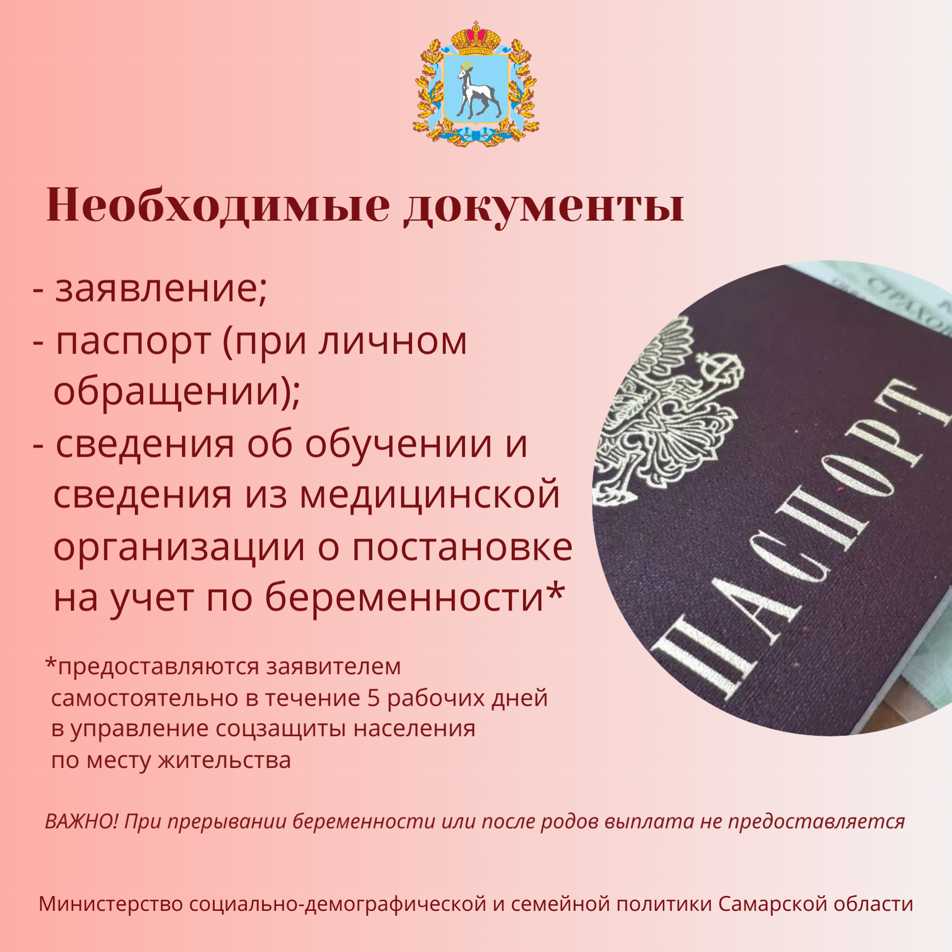 Выплата по беременности 4